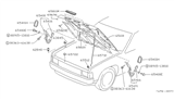Diagram for Nissan Hardbody Pickup (D21) Lift Support - 65771-01G00
