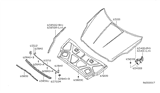 Diagram for Nissan Altima Hood - 65100-ZX00A