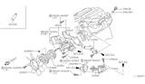 Diagram for Nissan Pathfinder Water Pump Gasket - 21014-0W000