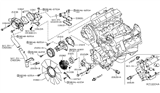 Diagram for Nissan NV Thermostat Gasket - 11062-EZ30A