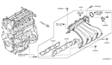 Diagram for Nissan Cube Intake Manifold Gasket - 14035-ED800
