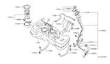 Diagram for Nissan Fuel Filler Hose - 17228-EM30A