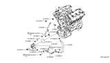 Diagram for Nissan Maxima Oil Cooler Hose - 14053-4RA0A