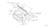 Diagram for Nissan Hardbody Pickup (D21U) Body Mount Hole Plug - 65450-01G01