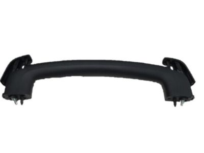 Nissan 90940-1PA0A Back Door Pull Handle