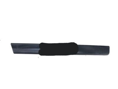 Nissan 82877-5HA0A Moulding-Rear Door,LH