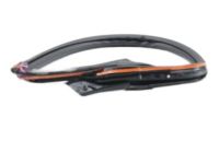 Nissan 76860-1EA0A Weatherstrip-Body Side,RH