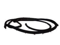 Nissan 80831-1PA0B Weatherstrip-Front Door,LH