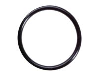 Nissan 17342-01A00 Ring-O Fuel Gag