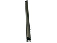 Nissan 82870-1VK0A MOULDING - Rear Door, RH