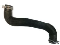 Nissan 21503-3JA0A Hose-Radiator,Lower