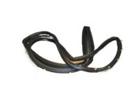 Nissan 82831-7Y000 Weatherstrip-Rear Door,LH