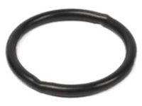 Nissan 20840-5M020 Washer-Wire Mesh