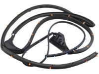 Nissan 82830-ZS30A WEATHERSTRIP-Rear RH