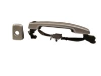 Nissan 80607-JA51A Front Outside Door Handle Assembly, Left