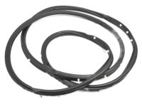 Nissan 82830-3Z600 Weatherstrip-Rear Door,RH