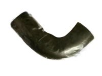 Nissan 14061-01P00 Hose-Air