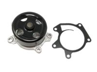 Nissan B1010-1KC0B Pump Kit-Water