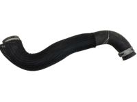 Nissan 21503-5AA0A Hose-Radiator,Lower