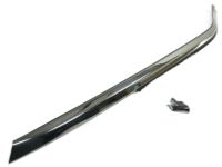 Nissan 83821-5BC0A Moulding-Side Window,Lower LH