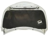 Nissan 65100-3TA0A Hood Assembly