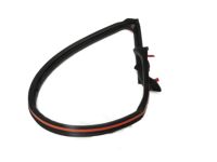 Nissan 76861-JF00E Weatherstrip-Body Side,LH