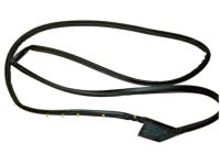 Nissan 80830-3SG0A Weatherstrip-Front Door,RH