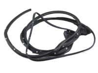 Nissan 82831-ZS30A WEATHERSTRIP-Rear RH