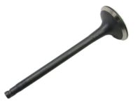 Nissan Altima Exhaust Valve - 13202-JA00A Valve-Exhaust