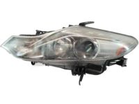 Nissan 26060-1AA0D Driver Side Headlight Assembly