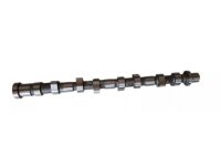 Nissan Murano Camshaft - 13020-JA11B CAMSHAFT Assembly (LH Int)