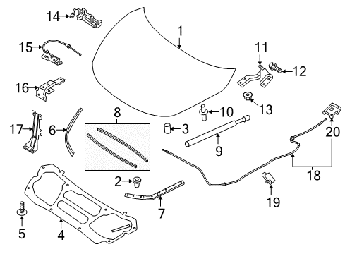 2020 Nissan Murano Hood & Components Diagram