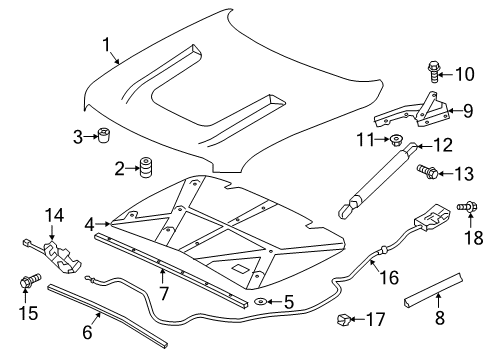 2021 Nissan Titan Hood & Components Diagram