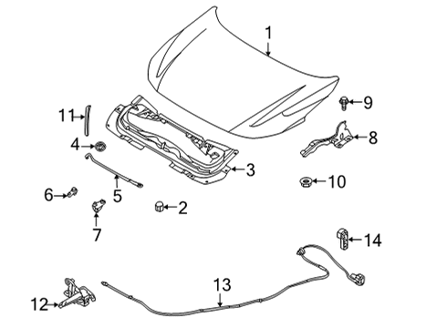 2021 Nissan Sentra Hood & Components Diagram