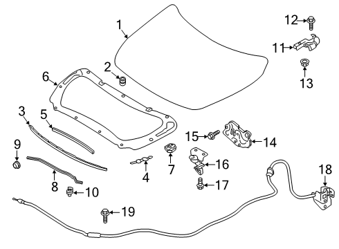 2021 Nissan Altima Hood & Components Diagram