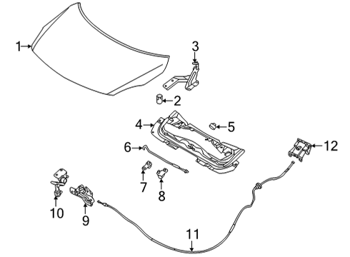 2021 Nissan Versa Hood & Components Diagram