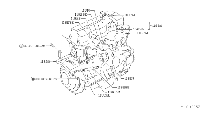 1990 Nissan Hardbody Pickup (D21) Blow-By Hose Diagram for 11826-88G00