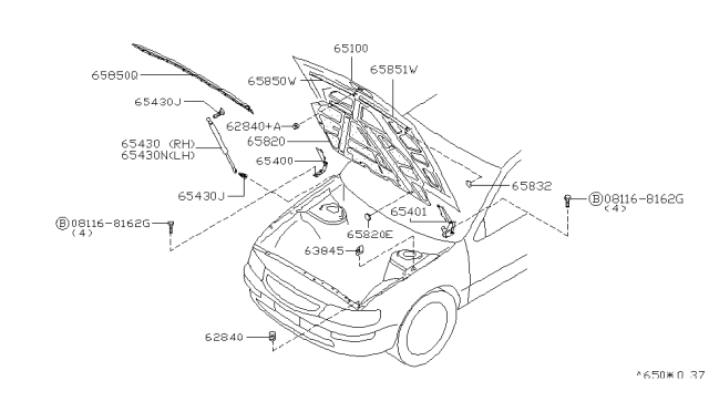 1995 Nissan Maxima Hood Panel,Hinge & Fitting Diagram