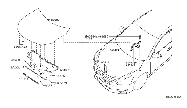 2014 Nissan Sentra Hood Panel,Hinge & Fitting Diagram
