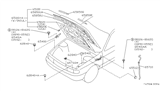 Diagram for Nissan Sentra Hood - 65100-65Y30