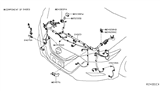 Diagram for Nissan Maxima Light Socket - 24071-9DJ0C