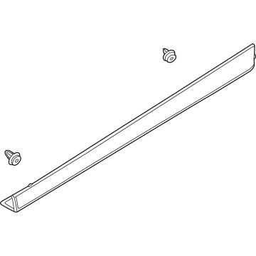 Nissan ARIYA Door Moldings - 80870-5MR5A